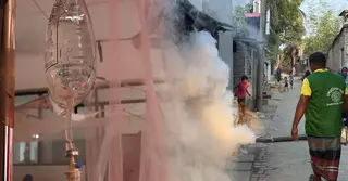 চাঁপাইনবাবগঞ্জে ডেঙ্গুর ভয়াবহ প্রকোপ